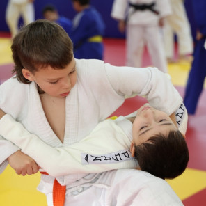 День дзюдо-4