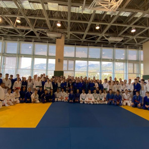 Дзюдо-Артек-1 