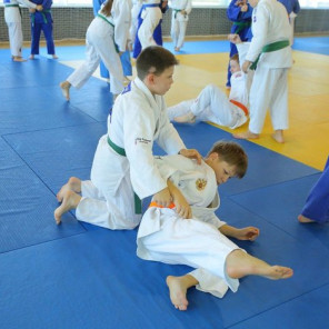 Дзюдо - Артек -4