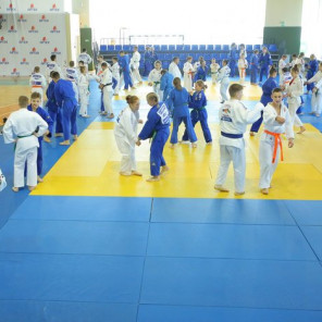Дзюдо - Артек -6