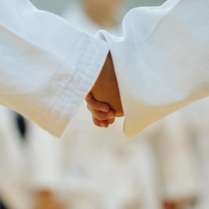 Открытая тренировка "Ичибана" - 4