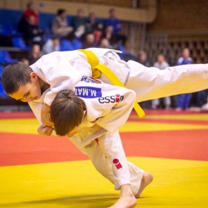 Семья чемпионов - 6