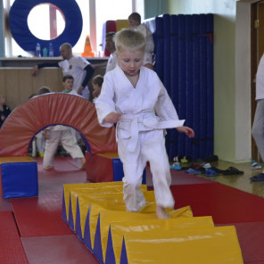 Семья чемпионов - 8