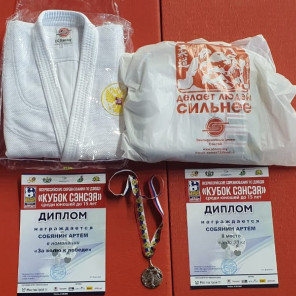 Кубок сэнсея - 2