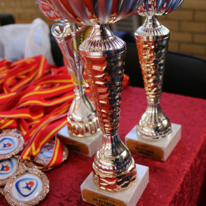 Турнир Брылкина - 10