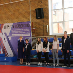 Турнир Брылкина - 16