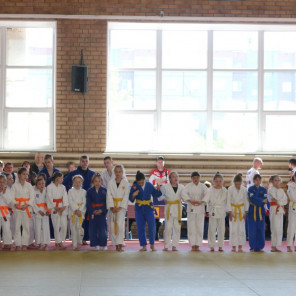 Турнир Брылкина - 19