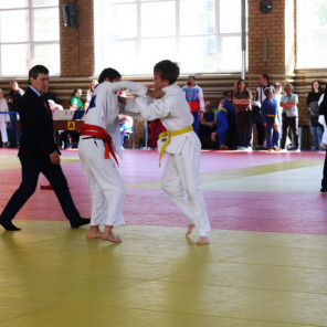 Турнир Брылкина - 20