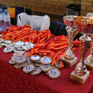 Турнир Брылкина - 9