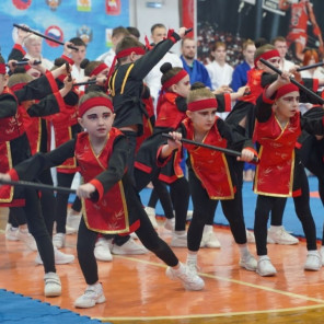 Фестиваль единоборств - 3