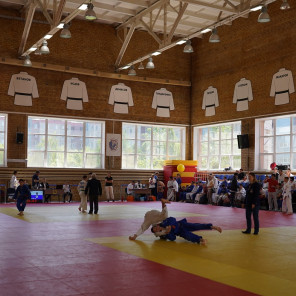 Олимпийские надежды Южного Урала - 14