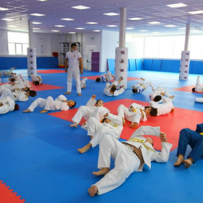 Центр дзюдо Дениса Ярцева - 2