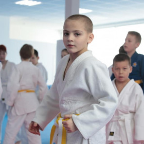 Центр дзюдо Дениса Ярцева - 3