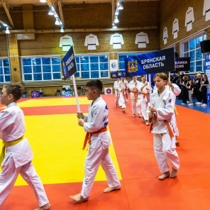 Турнир памяти Веричева - автор Дмитрий Куткин - 10