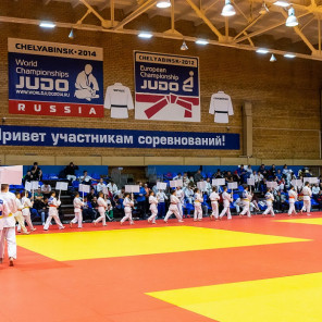 Турнир памяти Веричева - автор Дмитрий Куткин - 11