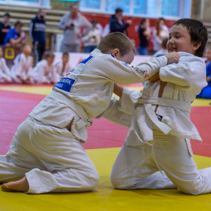 Фестиваль дзюдо - 2