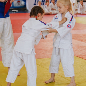 Фестиваль дзюдо - 3