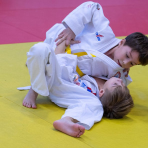 Фестиваль дзюдо - 3