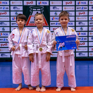 Фестиваль дзюдо - 4