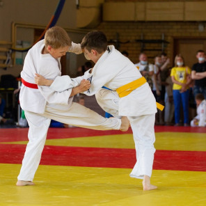 Фестиваль дзюдо "Ичибан" - 4