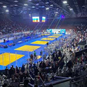 Фестиваль дзюдо - 9