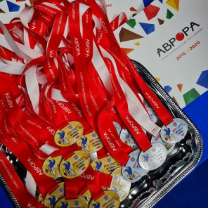 Фестиваль дзюдо - 10