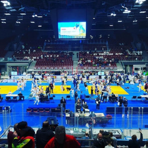 Фестиваль дзюдо - 11