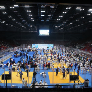 Фестиваль дзюдо - 12