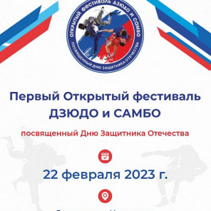 Фестиваль самбо и дзюдо - 2