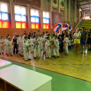 Турнир - Снежинск-3