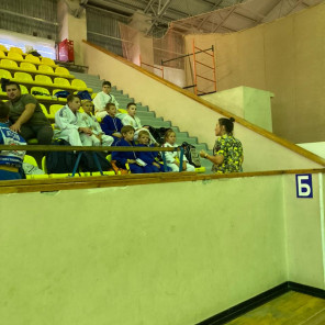 Турнир - Снежинск-6