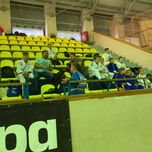 Турнир - Снежинск-9