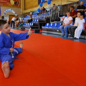 Фестиваль дзюдо - 3