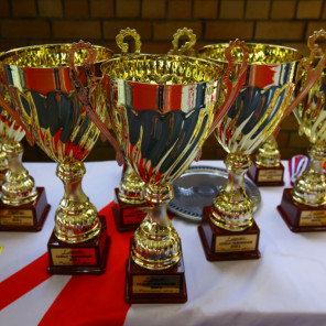 Фестиваль дзюдо - 4