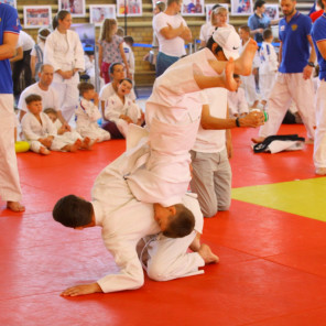 Фестиваль дзюдо - 10