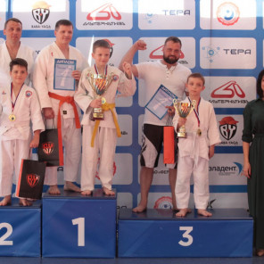 Фестиваль дзюдо - 11