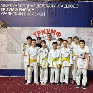 Лига дзюдо - 7