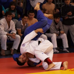 Всероссийский турнир по дзюдо памяти чемпиона мира Григория Веричева, автор фото - Валерий Янчик, фото 16