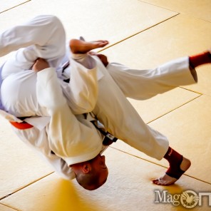 Кубок ММК по дзюдо среди ветеранов-8