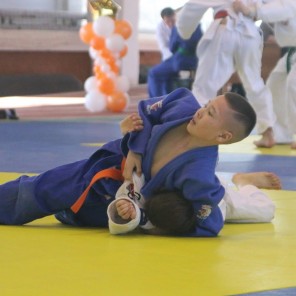 Автор - Виталий Визаулин