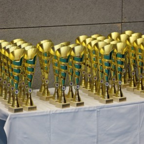 Челябинские дзюдоисты добыли две «бронзы» в международном турнире в Чехии 