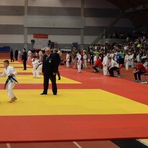 Челябинские дзюдоисты добыли две «бронзы» в международном турнире в Чехии 