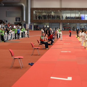 Челябинские дзюдоисты добыли две «бронзы» в международном турнире в Чехии 