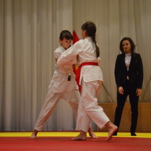 Катав-Ивановск принимал областной турнир по дзюдо в честь Героя Советского Союза Валентина Фигичева-4