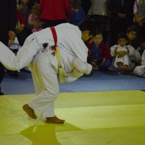 Катав-Ивановск принимал областной турнир по дзюдо в честь Героя Советского Союза Валентина Фигичева-9