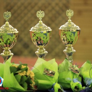 Первенство России-2014 по дзюдо в Липецке-8. Фото Марины Майоровой (Москва).