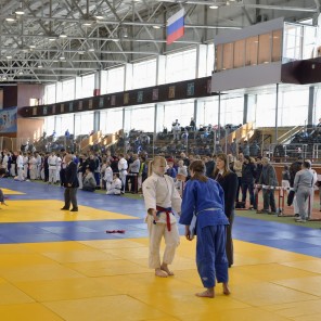 Всероссийский турнир по дзюдо памяти П.И. Сумина-2014, фото А. Ткаченко-1