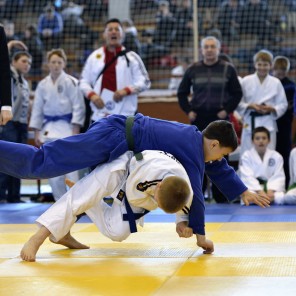 Всероссийский турнир по дзюдо памяти П.И. Сумина-2014, фото А. Ткаченко-2