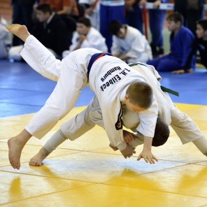 Всероссийский турнир по дзюдо памяти П.И. Сумина-2014, фото А. Ткаченко-2