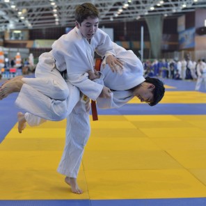 Всероссийский турнир по дзюдо памяти П.И. Сумина-2014, фото А. Ткаченко-2